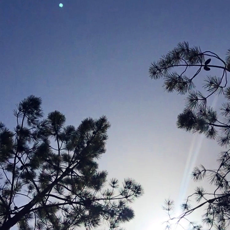 Exactly where you need to be